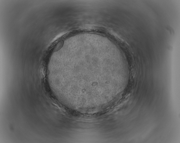 X0000112761206200909101523