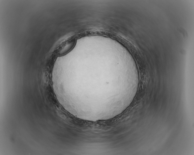 X0000112761207200909101523
