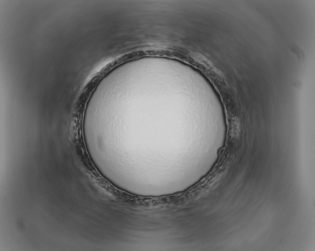 X0000112761208200909101523
