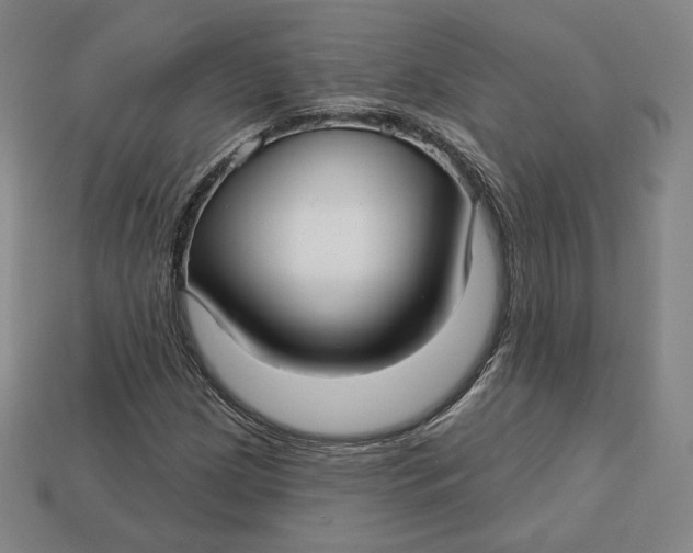 X0000112761209200909101523