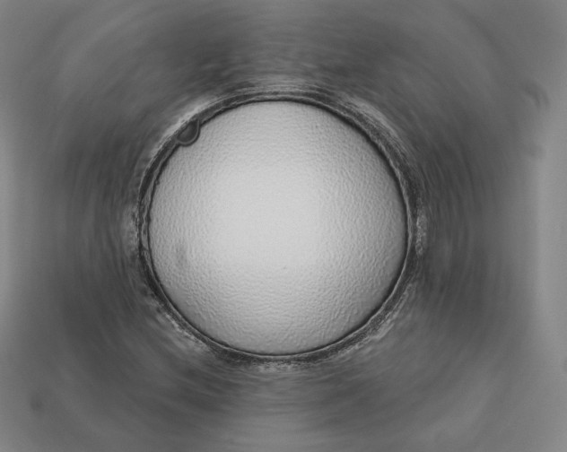 X0000112761212200909101523