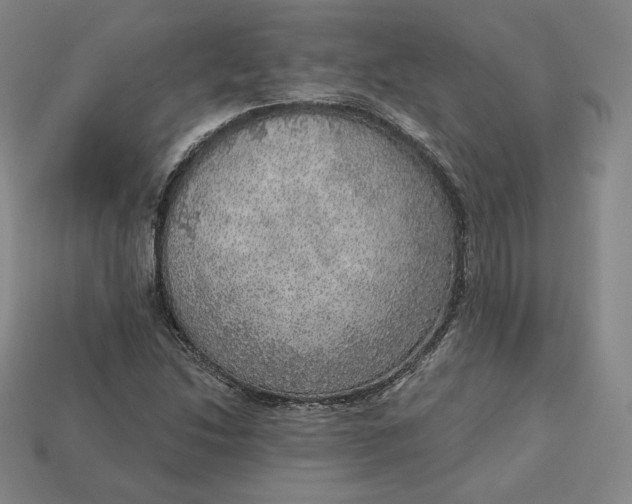 X0000112761214200909101523