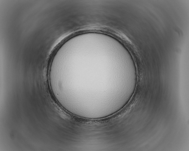 X0000112761216200909101523