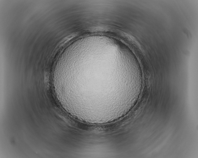 X0000112761217200909101523