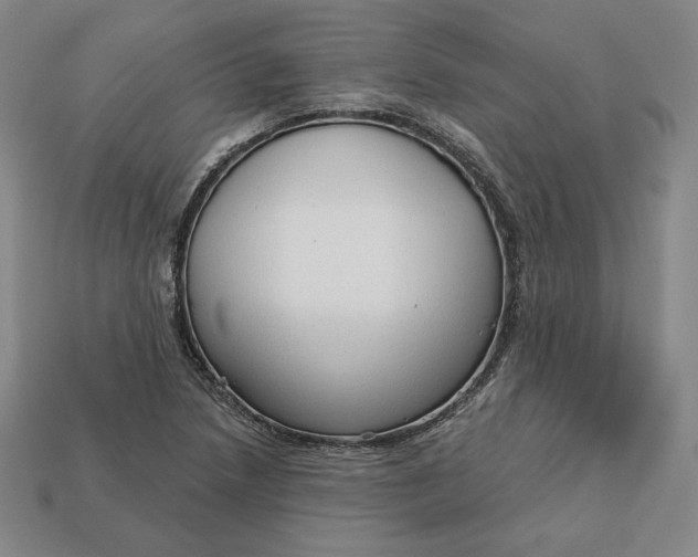 X0000112761218200909101523