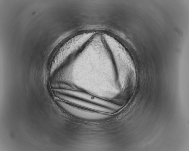 X0000112761221200909101523