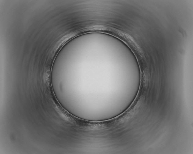X0000112761225200909101523