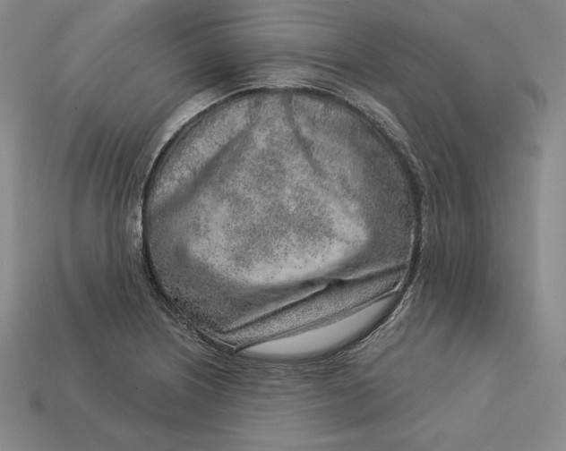 X0000112761226200909101523