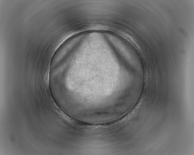 X0000112761228200909101523