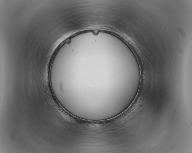 X0000112761230200909101523