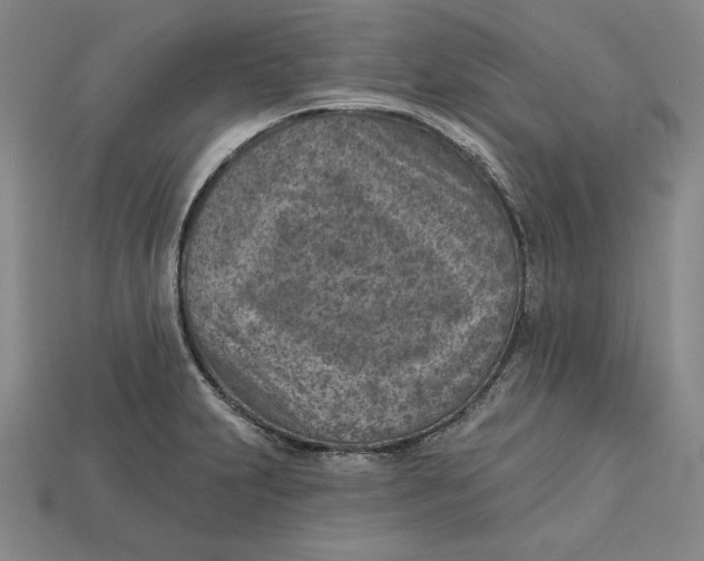 X0000112761231200909101523