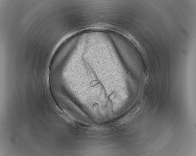 X0000112761232200909101523