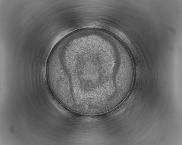 X0000112761234200909101524