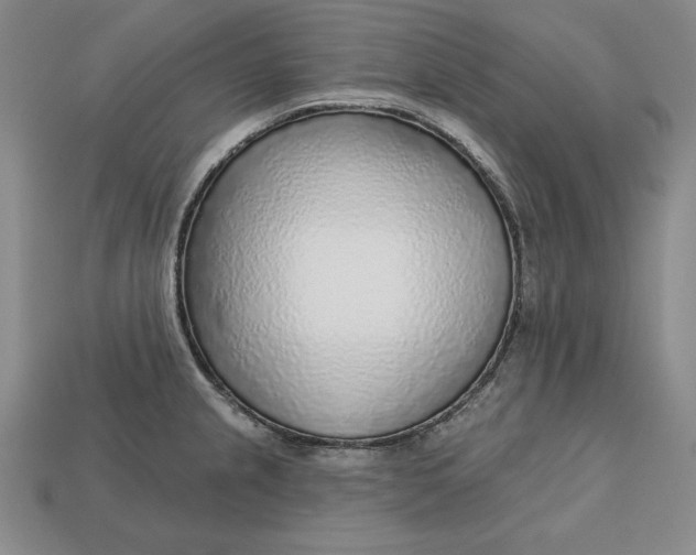 X0000112761237200909101524
