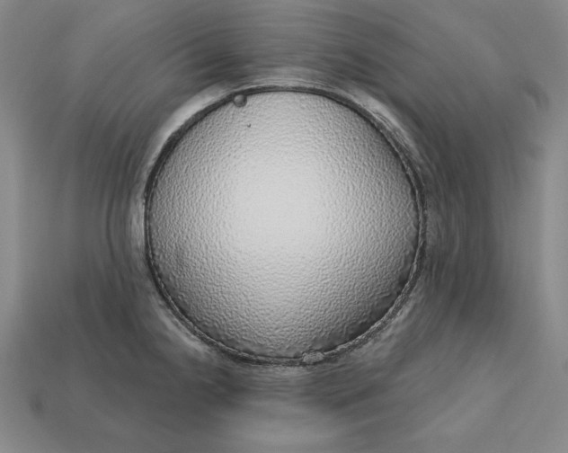 X0000112761238200909101524