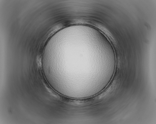 X0000112761241200909101524
