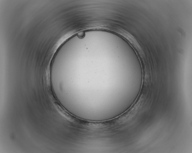 X0000112761242200909101524