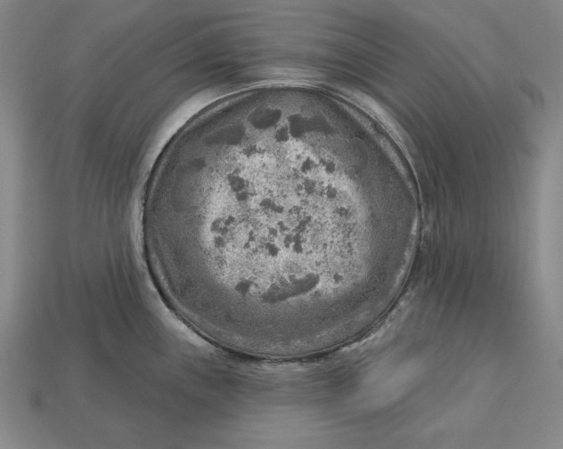 X0000112761243200909101524