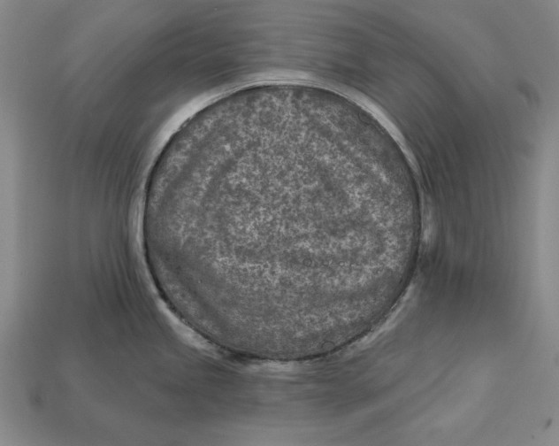 X0000112761245200909101524