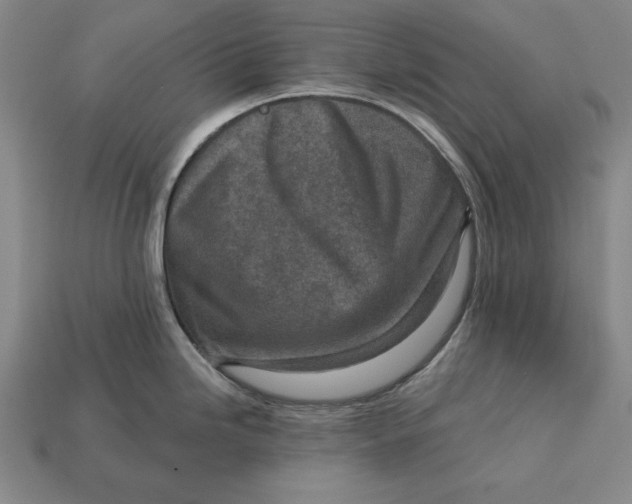X0000112761246200909101524