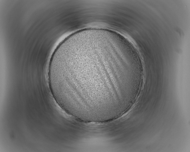 X0000112761248200909101524