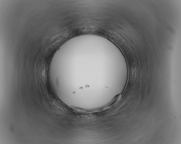 X0000112761250200909101523