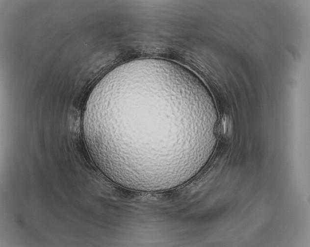 X0000112761251200909101523