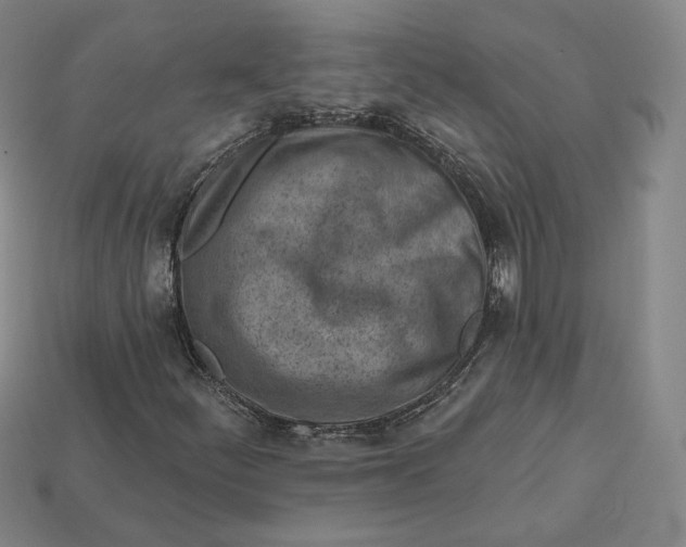 X0000112761252200909101523