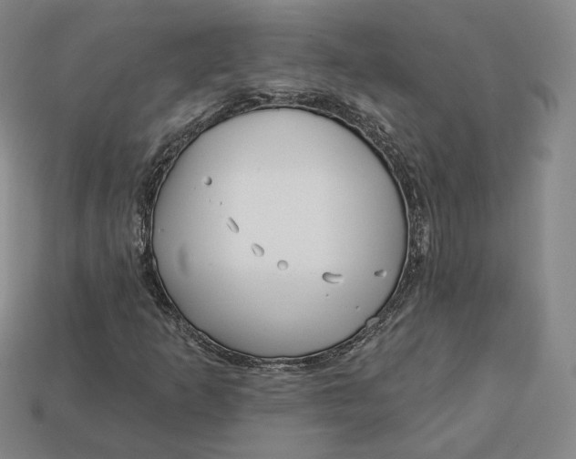 X0000112761253200909101523