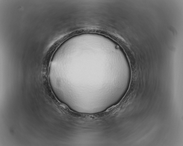 X0000112761255200909101523