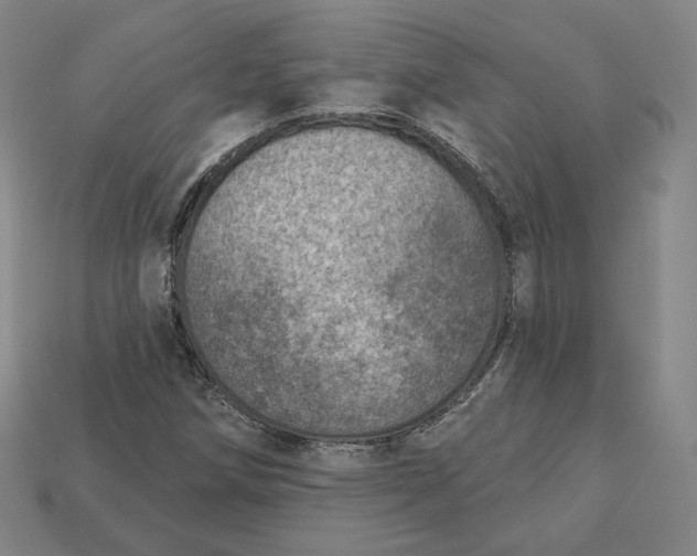 X0000112761258200909101523