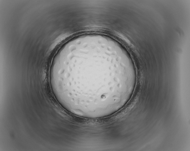 X0000112761259200909101523