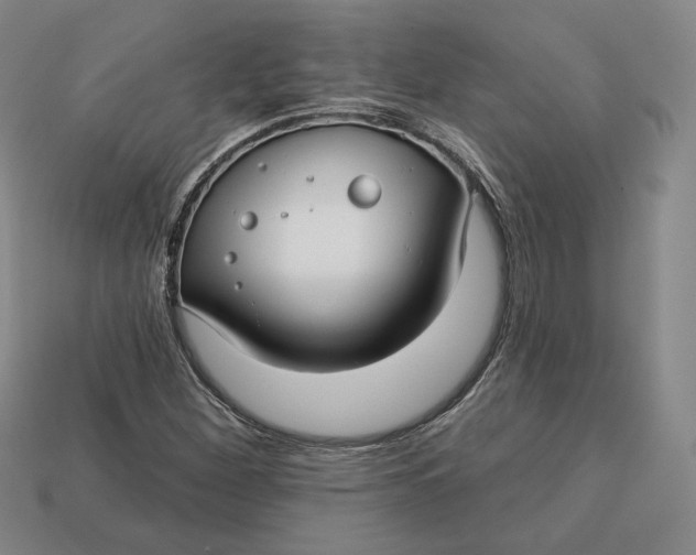 X0000112761260200909101523
