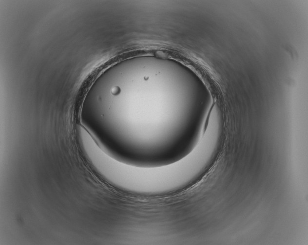 X0000112761261200909101523