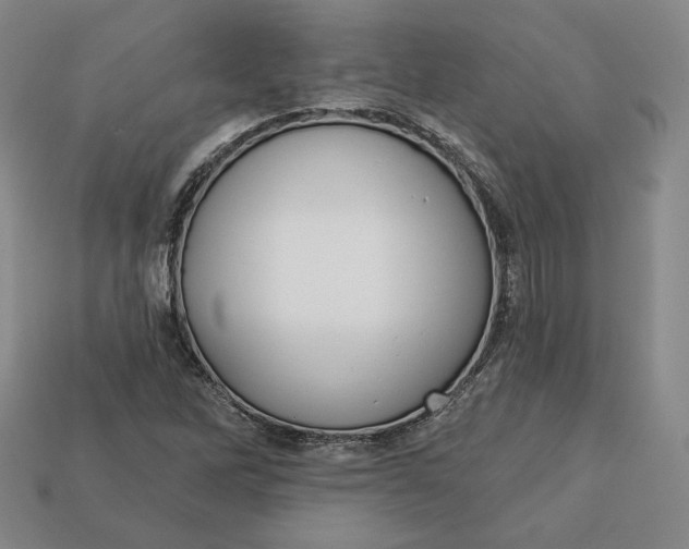 X0000112761262200909101523