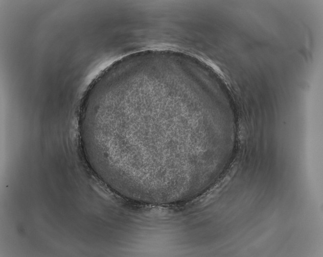 X0000112761263200909101523