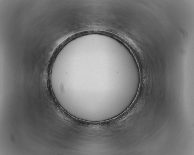X0000112761264200909101523
