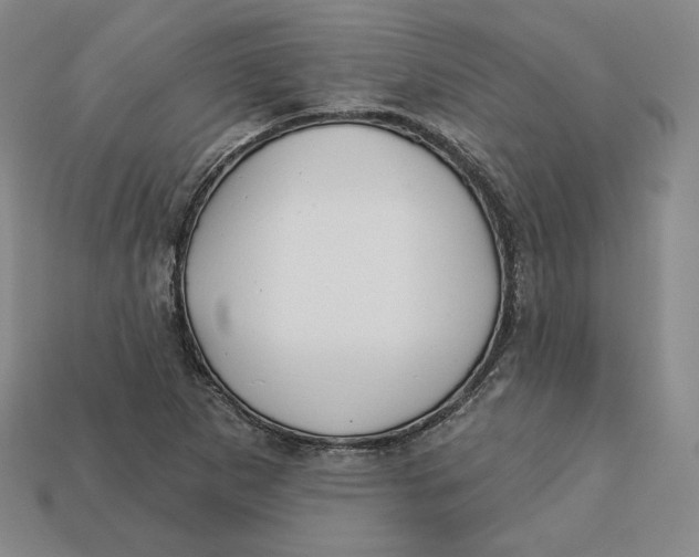 X0000112761265200909101523