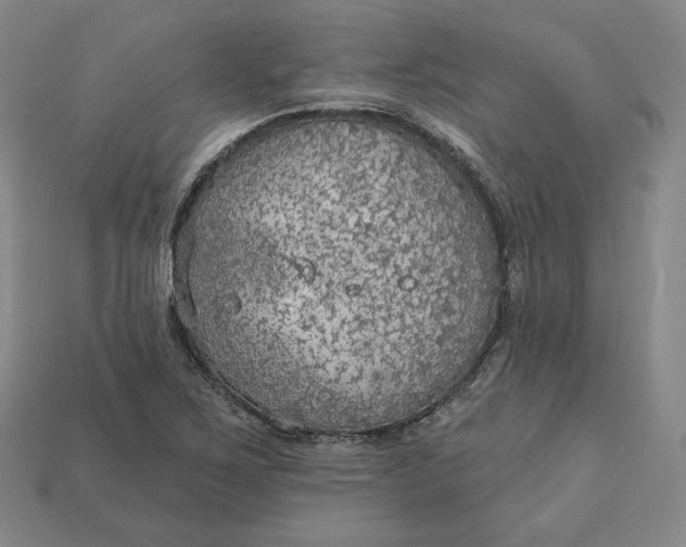 X0000112761267200909101523