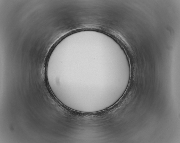X0000112761268200909101523