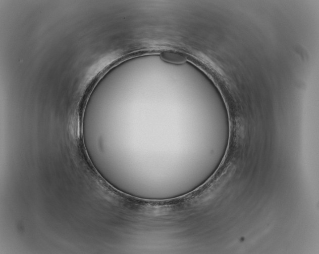 X0000112761269200909101523