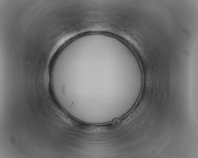 X0000112761270200909101523