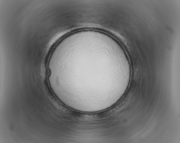 X0000112761271200909101523