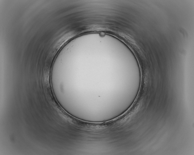 X0000112761273200909101522