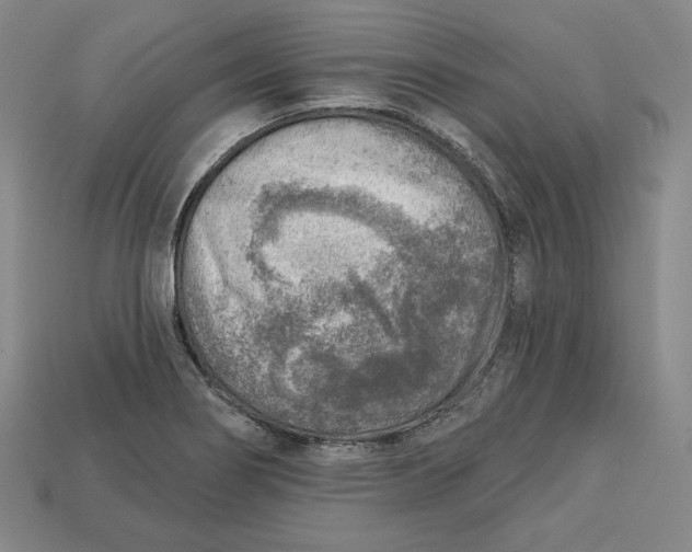 X0000112761274200909101522