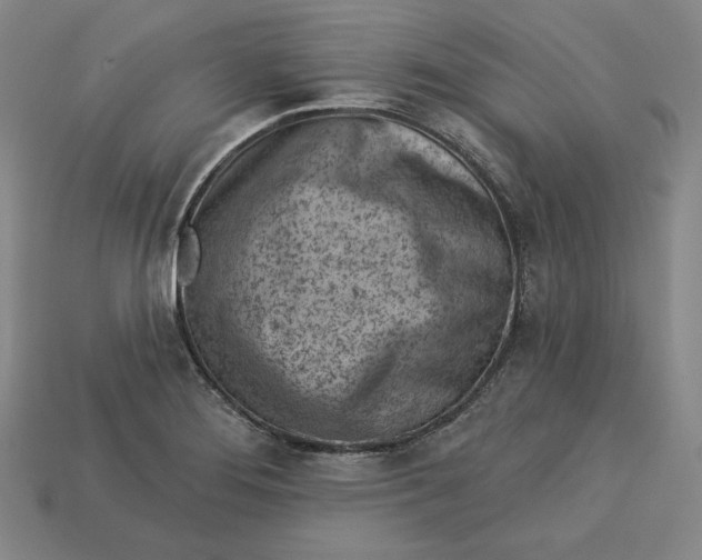 X0000112761276200909101522