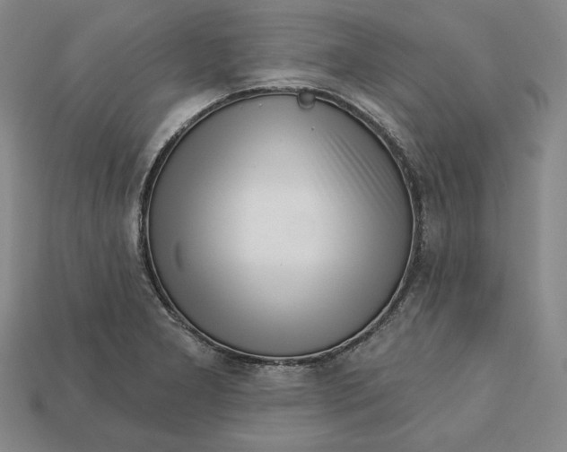 X0000112761277200909101522