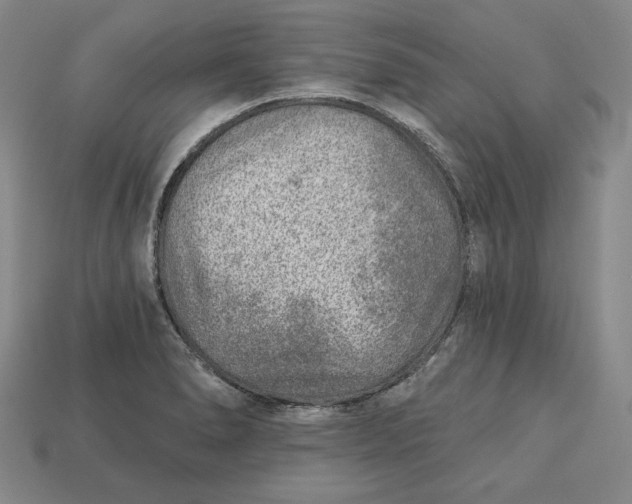 X0000112761278200909101522