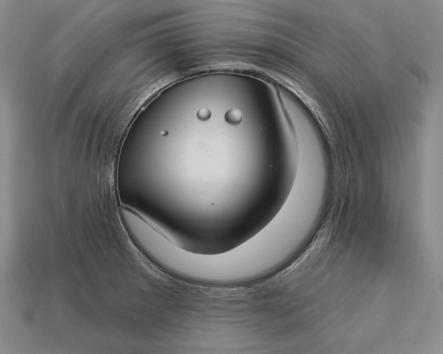 X0000112761281200909101522