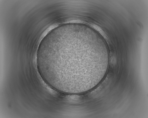 X0000112761282200909101522